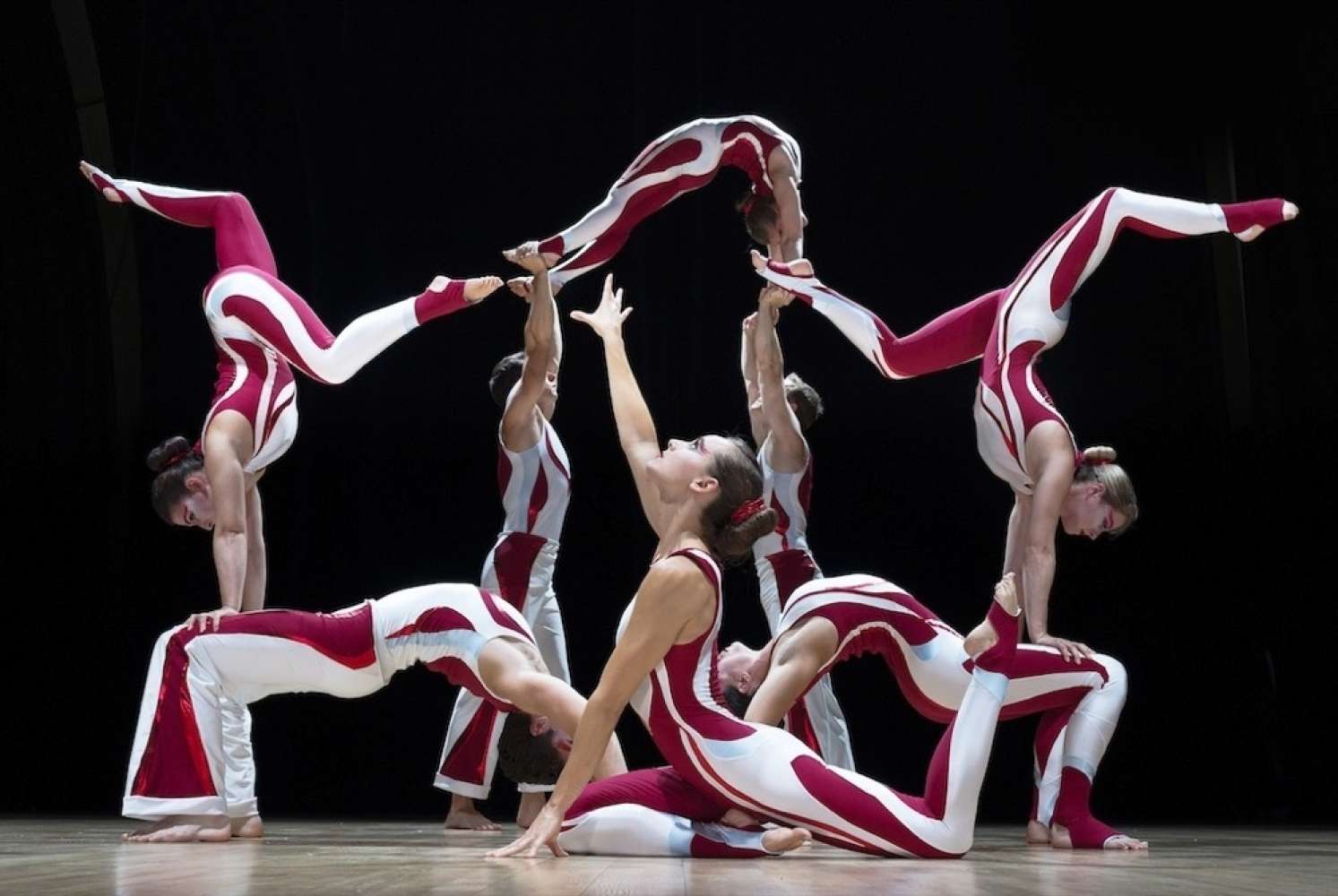 The Acro Athletes The Acro Athletes | Function Central | Acrobats ...