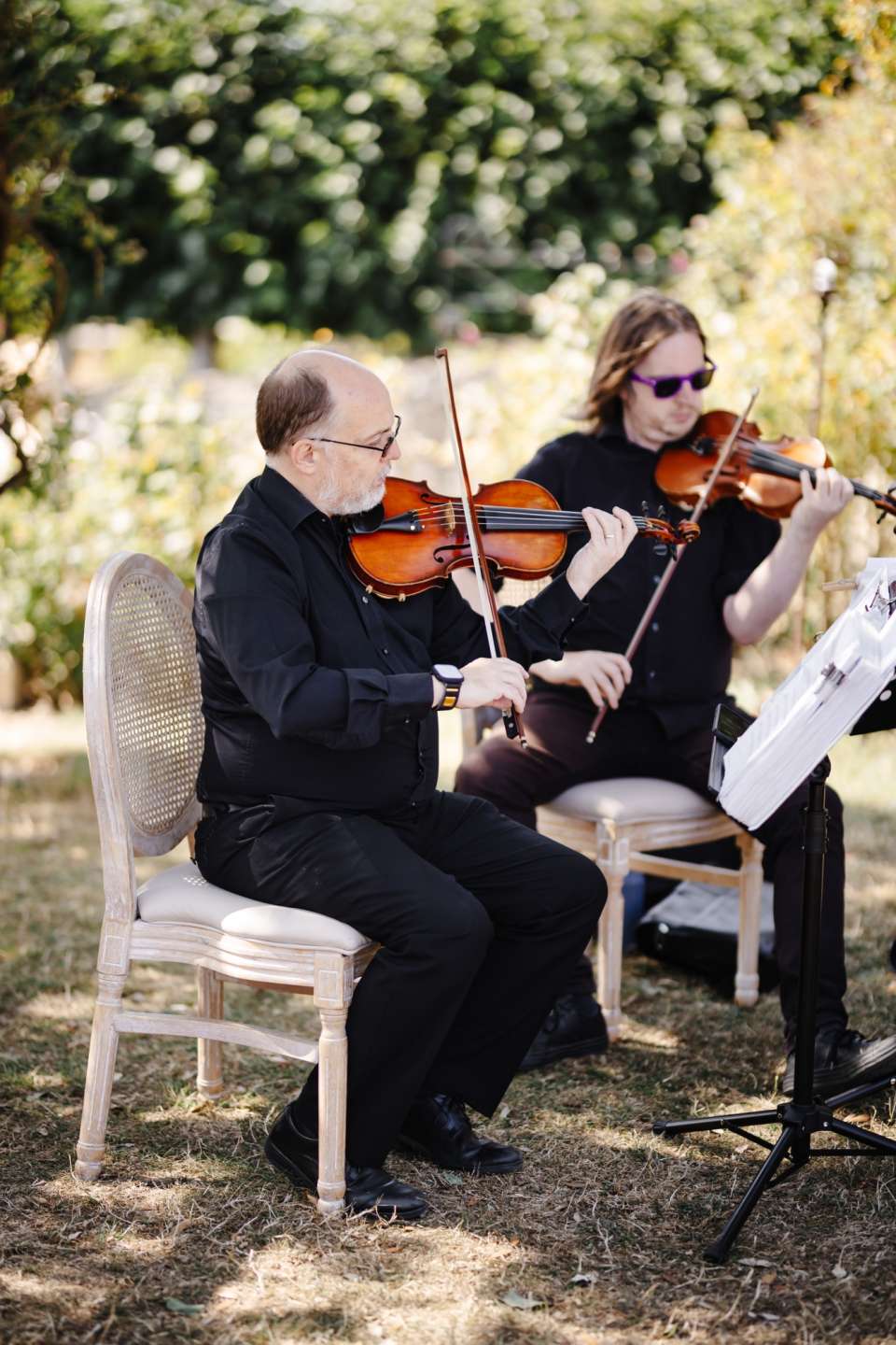 South West String Quartet Somerset String Quartet For Hire 12